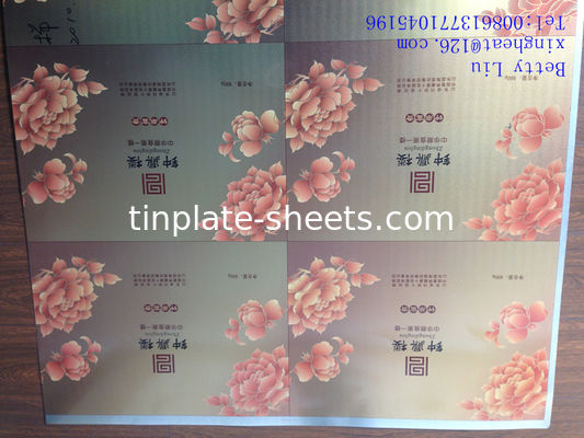 T2.5 T3 T4 T5 DR7 DR8 DR9 Lembar Timah Cetak EN10202 Standar 2.0/2.0 1.1/2.8 Untuk Kaleng Makanan