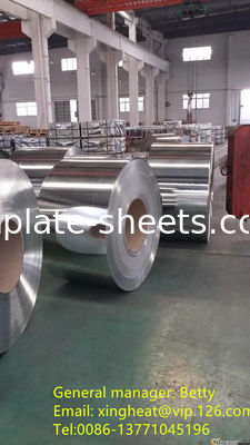 MR dan SPCC Tinplate Sheets dalam Ketebalan dan Lebar yang Berbeda untuk Aplikasi yang Berbeda